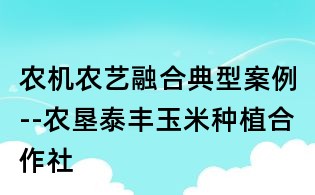農機農藝融合典型案例--農墾泰豐玉米種植合作社