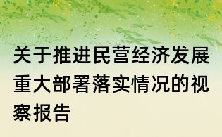 關(guān)于推進(jìn)民營(yíng)經(jīng)濟(jì)發(fā)展重大部署落實(shí)情況的視察報(bào)告