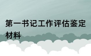 第一書(shū)記工作評(píng)估鑒定材料