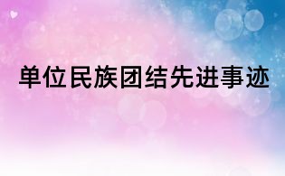 單位民族團結先進事跡