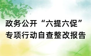 政務(wù)公開“六提六促”專項行動自查整改報告
