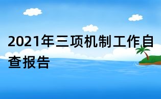 2021年三項機制工作自查報告