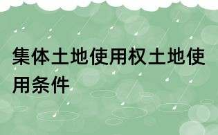 集體土地使用權(quán)土地使用條件