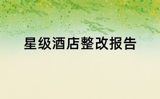 星級酒店整改報告