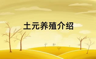 土元養(yǎng)殖介紹