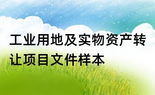 工業(yè)用地及實物資產(chǎn)轉讓項目文件樣本