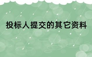 投標(biāo)人提交的其它資料