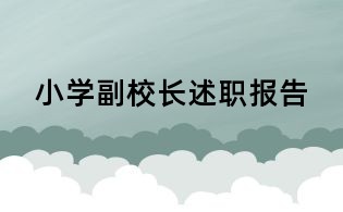 小學副校長述職報告