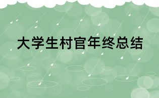 大學(xué)生村官年終總結(jié)