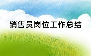 銷售員崗位工作總結(jié)