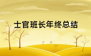 士官班長年終總結