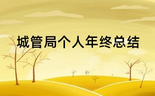 城管局個人年終總結(jié)