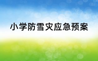 小學(xué)防雪災(zāi)應(yīng)急預(yù)案