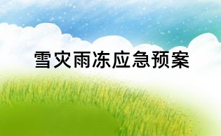雪災雨凍應急預案
