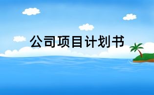 公司項目計劃書