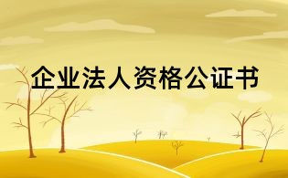 企業(yè)法人資格公證書