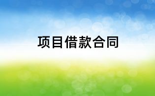 項(xiàng)目借款合同