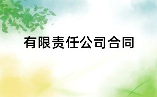有限責(zé)任公司合同