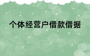 個體經(jīng)營戶借款借據(jù)