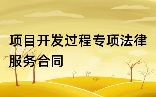 項目開發過程專項法律服務合同