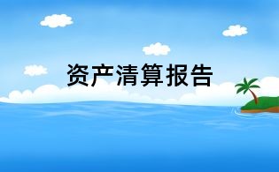 資產(chǎn)清算報告
