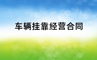 車輛掛靠經營合同
