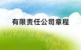 有限責(zé)任公司章程
