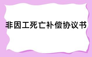 非因工死亡補(bǔ)償協(xié)議書