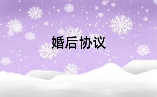 婚后協議