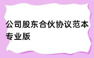 公司股東合伙協(xié)議范本專業(yè)版