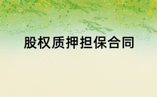 股權(quán)質(zhì)押擔(dān)保合同