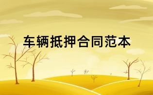 車(chē)輛抵押合同范本