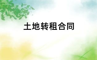 土地轉(zhuǎn)租合同