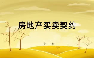 房地產(chǎn)買(mǎi)賣(mài)契約