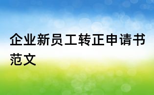 企業(yè)新員工轉(zhuǎn)正申請書范文