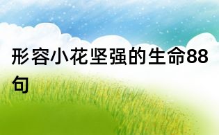 形容小花堅(jiān)強(qiáng)的生命88句