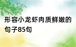 形容小龍蝦肉質鮮嫩的句子85句