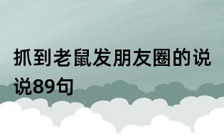 抓到老鼠發朋友圈的說說89句