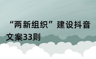 “兩新組織”建設(shè)抖音文案33則