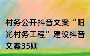 村務(wù)公開抖音文案:“陽光村務(wù)工程”建設(shè)抖音文案35則