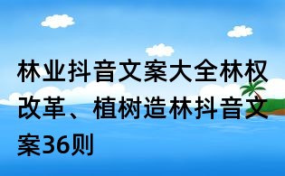 林業(yè)抖音文案大全:林權(quán)改革、植樹造林抖音文案36則