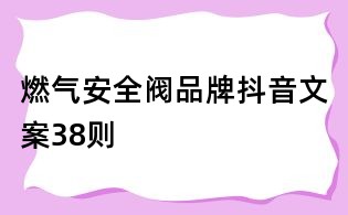 燃氣安全閥品牌抖音文案38則