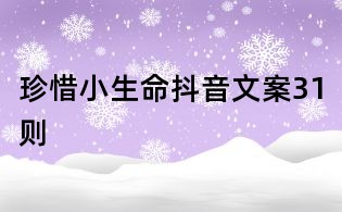 珍惜小生命抖音文案31則