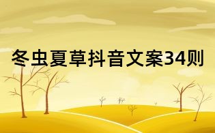 冬蟲夏草抖音文案34則