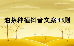 油茶種植抖音文案33則