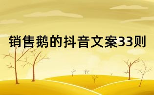 銷售鵝的抖音文案33則