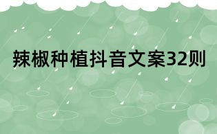 辣椒種植抖音文案32則