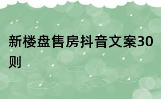 新樓盤售房抖音文案30則