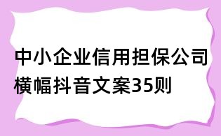 中小企業(yè)信用擔(dān)保公司橫幅抖音文案35則
