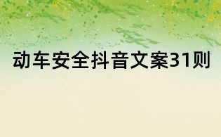 動車安全抖音文案31則